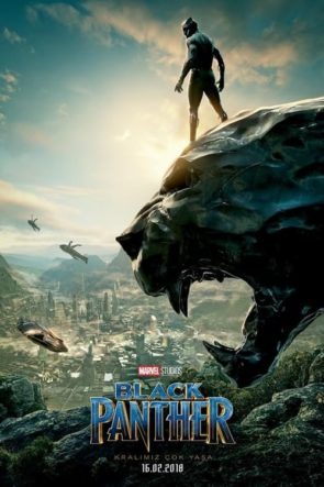 Kara Panter / Black Panther (2018) HD izle