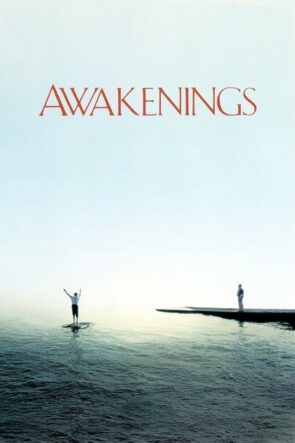 Uyanışlar (Awakenings) Türkçe Dublaj HD izle